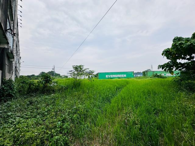 台南新化廠房-2