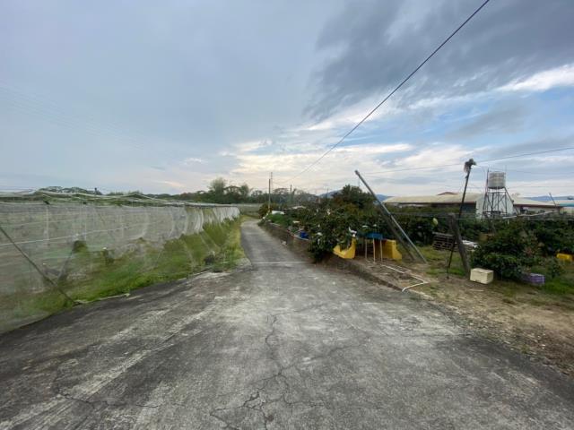 玉井農地-10