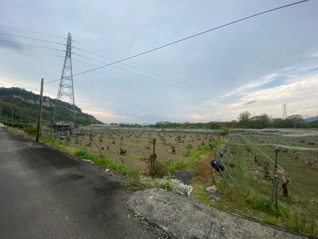 玉井農地-14