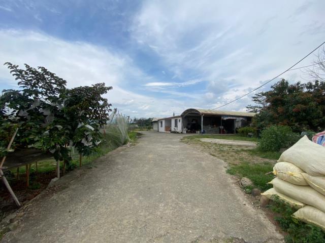 玉井農地-1