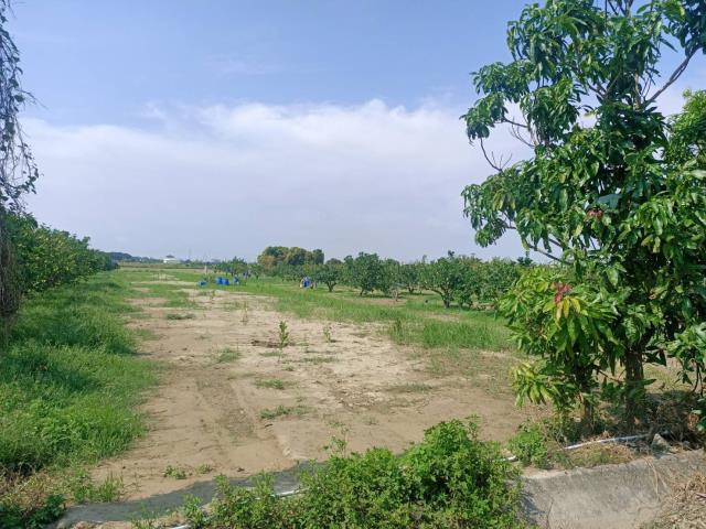 佳里農地-2