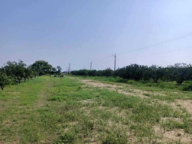 佳里農地-4