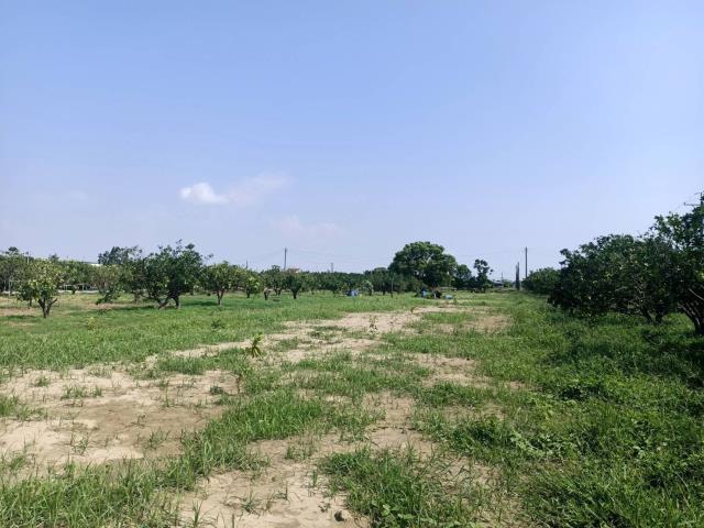 佳里農地-5