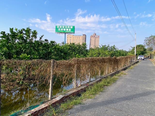 台南麻豆農地-1