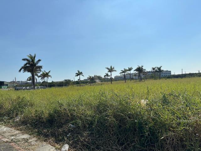 麻豆工業地-1