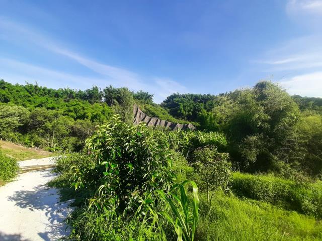 左鎮農地-3