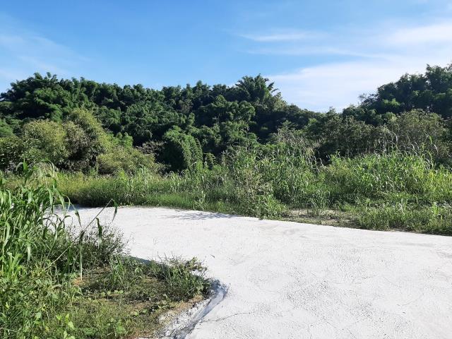 左鎮農地-7