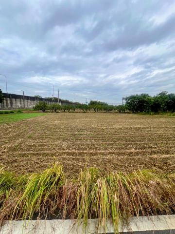 台南麻豆農地-2