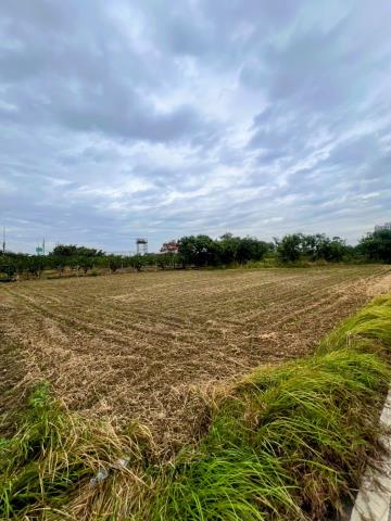 台南麻豆農地-3