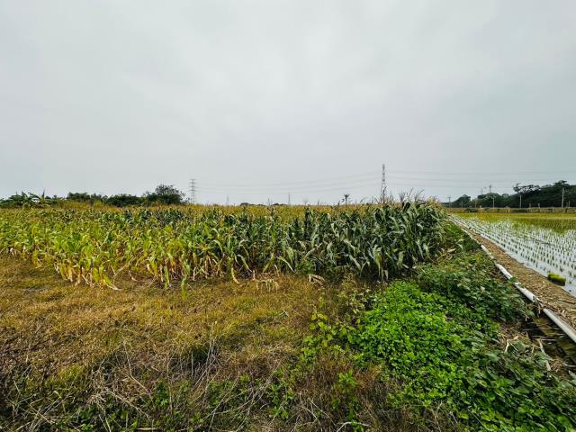 台南農地-4