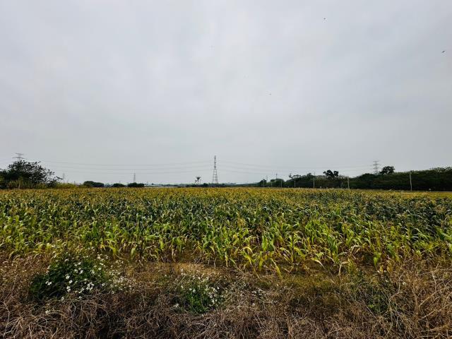 台南農地-5