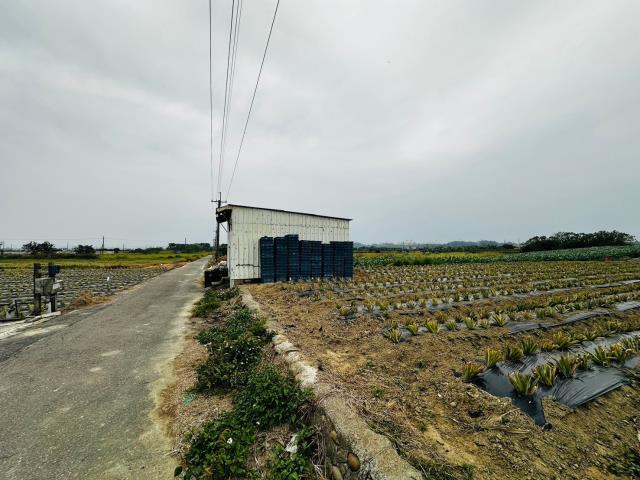 台南農地-2