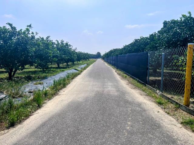 台南麻豆農地-4