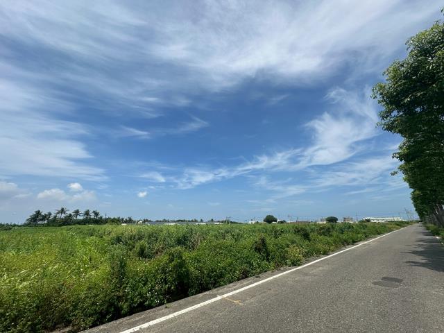 佳里農地-2