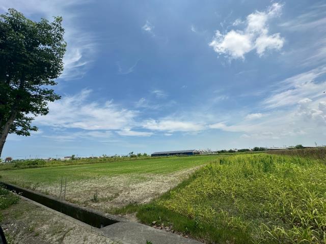 佳里農地-7