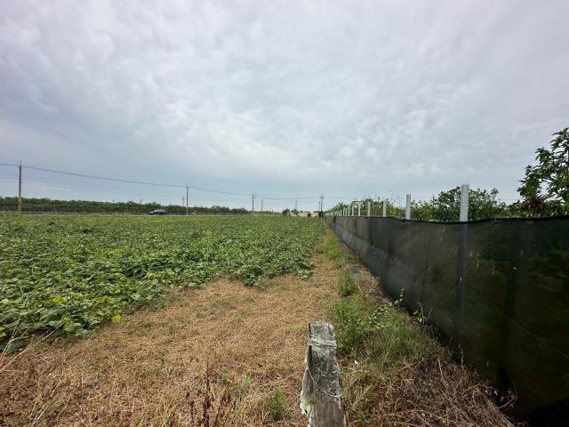 麻豆農地-3