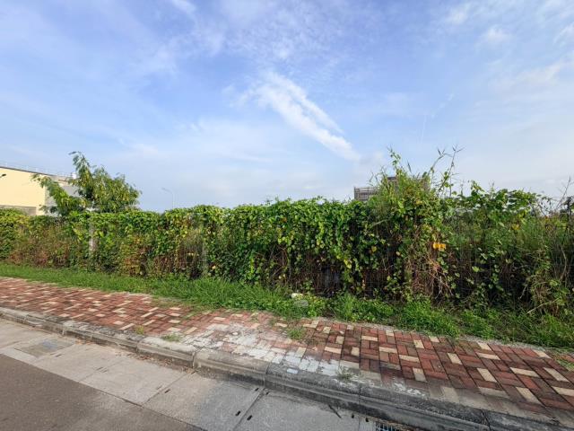 台南麻豆工業地-0