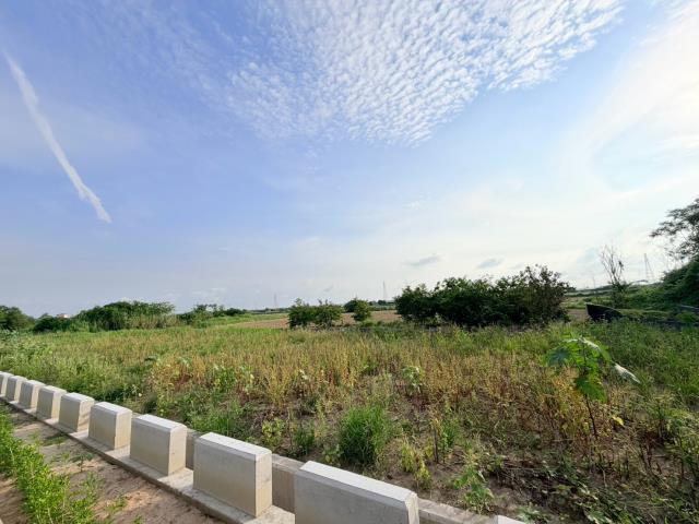 台南佳里農地-1
