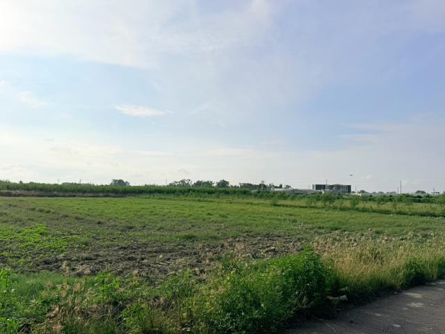 台南佳里農地-5