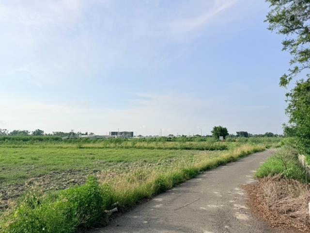 台南麻豆農地-3