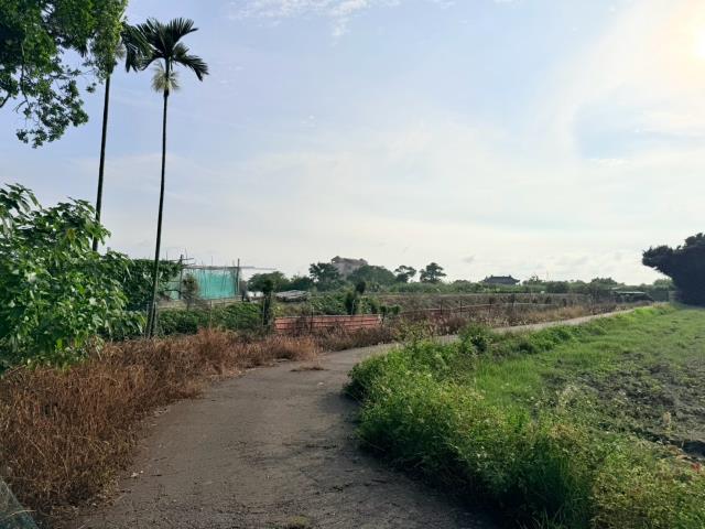 台南麻豆農地-4