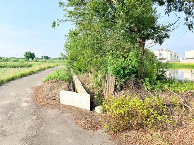 台南麻豆農地-6