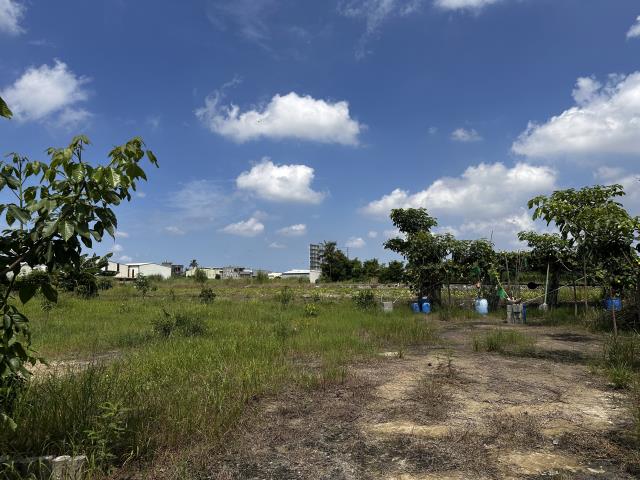 安南農地-8